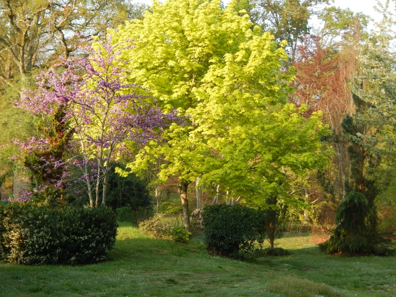 Le Jardin