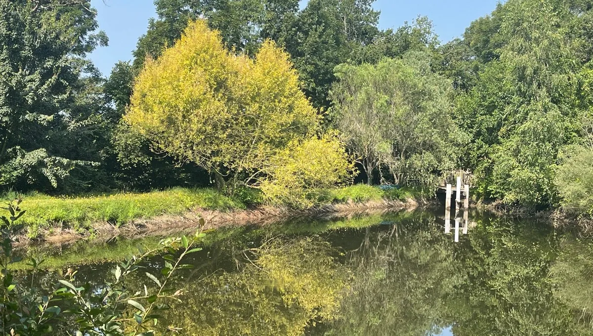 Entre Combrailles et plateau de Millevaches le jardin Lacore est situé à St Pardoux d'Arnet