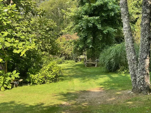 Un autre intérêt du jardin Lacore : son grand labyrinthe